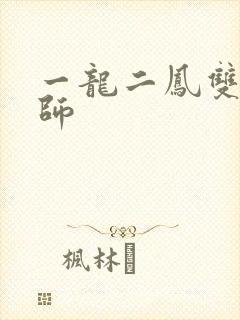一龙二凤双飞老师封面