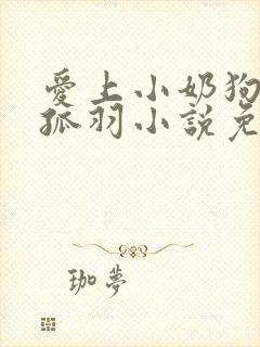 爱上小奶狗by孤羽小说免费阅读封面