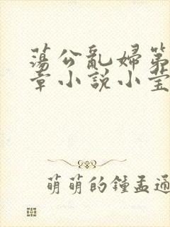 荡公乱妇第51章小说小莹