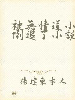 被无情道小师弟倒追了小说封面