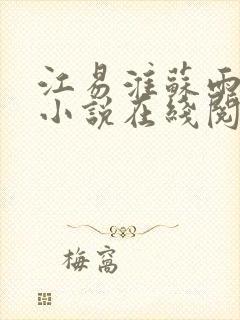 江易淮苏雨眠的小说在线阅读封面