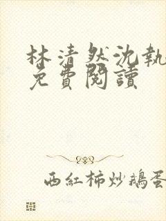 林清然沈执小说免费阅读封面