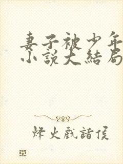 妻子被少年夺走小说大结局