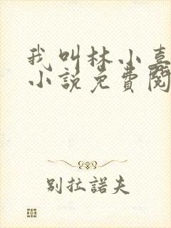 我叫林小喜全文小说免费阅读封面