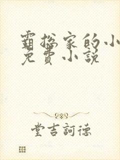 霸总家的小奶狼免费小说封面