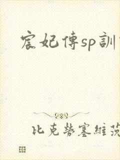 宸妃传sp训诫