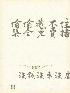偷偷藏不住57集全免费播放封面