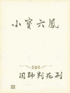 小宝六凤