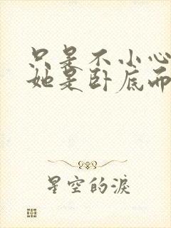 只是不小心发现她是卧底而已封面