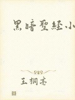 黑暗圣经小说封面