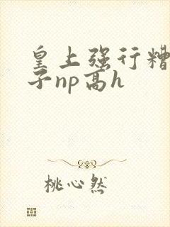 皇上强行糟蹋太子np高h