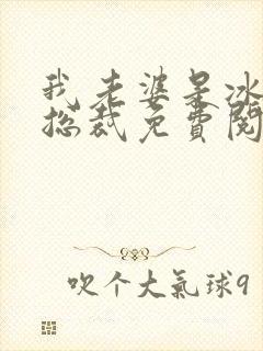 我老婆是冰山女总裁免费阅读最新