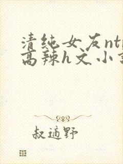 清纯女友ntr高辣h文小说封面