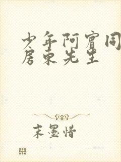 少年阿宾同人之房东先生封面