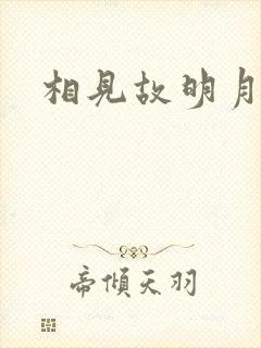 相见故明月