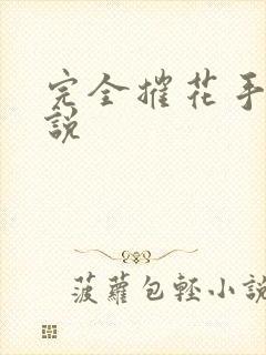 完全摧花手册小说