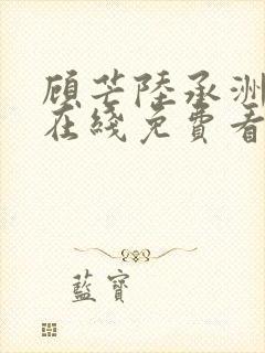 顾芒陆承洲小说在线免费看封面