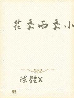 花季雨季小说