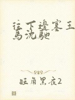 往下边塞玉器骑马沈驰