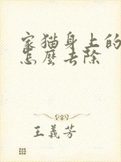 家猫身上的跳蚤怎么去除