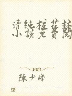清纯校花林梦颖小说免费阅读最新章封面
