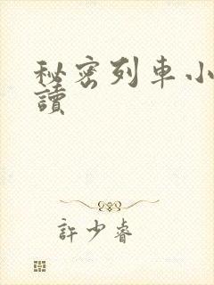 秘密列车小说阅读