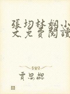张均林娴小说全文免费阅读封面