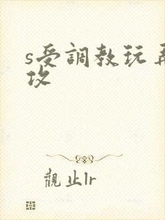 s受调教玩弄m攻