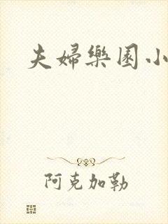 夫妇乐园小说