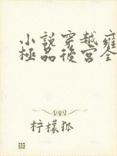 小说穿越雍正之极品后宫全文阅读
