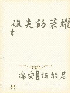 姐夫的荣耀txt