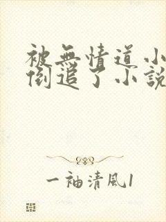 被无情道小师弟倒追了小说txt