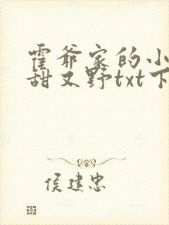 霍爷家的小祖宗甜又野txt下载