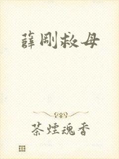 薛刚救母