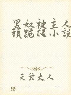 男奴被主人拽奶头跪爬小说封面