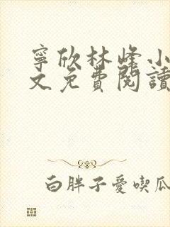 宁欣林峰小说全文免费阅读无弹窗笔趣阁