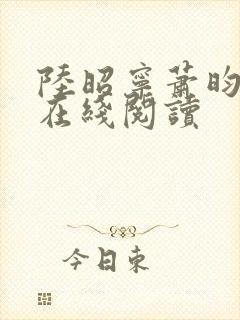 陆昭宁萧昀小说在线阅读封面