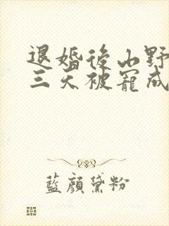 退婚后山野糙汉三天被宠成宝小说
