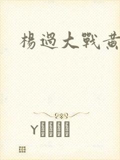 杨过大战黄蓉封面