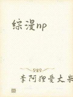 综漫np