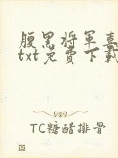 腹黑将军喜当爹txt免费下载封面