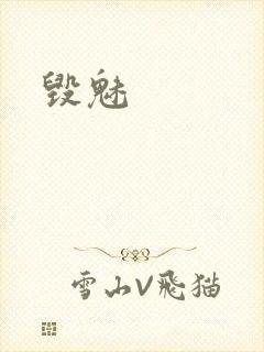 毁魅