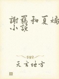 谢羁和夏娇娇的小说