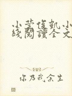 小莹俊凯小说在线阅读全文封面
