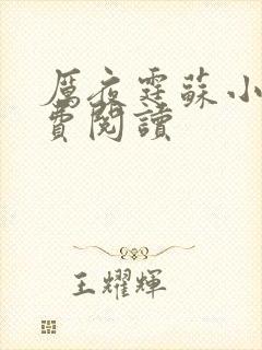 厉夜霆苏小汐免费阅读封面