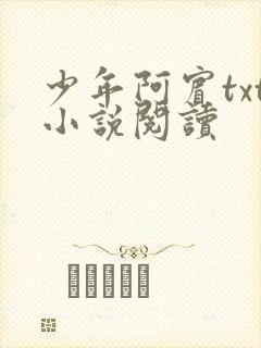 少年阿宾txt小说阅读