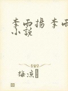 李雨扬 李雨心小说封面