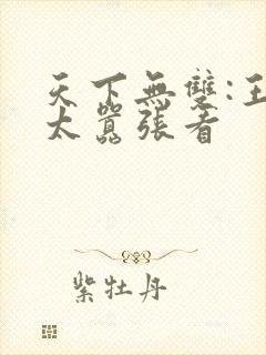 天下无双:王妃太嚣张看
