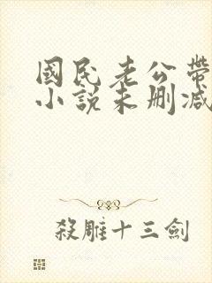 国民老公带回家小说未删减