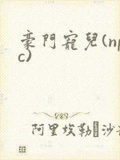 豪门宠儿(npc)